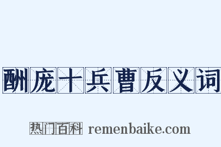 酬庞十兵曹反义词是什么意思的图片